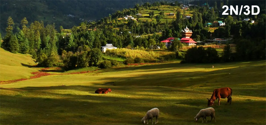 shangarh tour package himachal misty mountains
